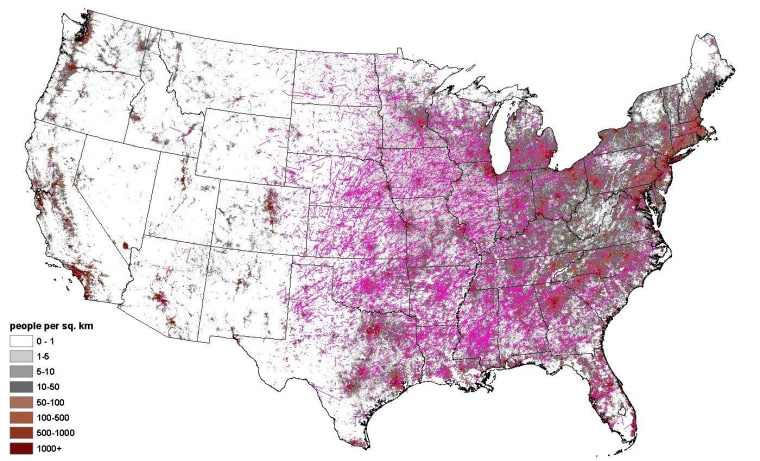 The purple streaks on this map from the National Oceanic and Atmospheric Administration's Storm Prediction Center stand for tornado tracks from 1950 to 2011. The dark blotches indicate population densities.
