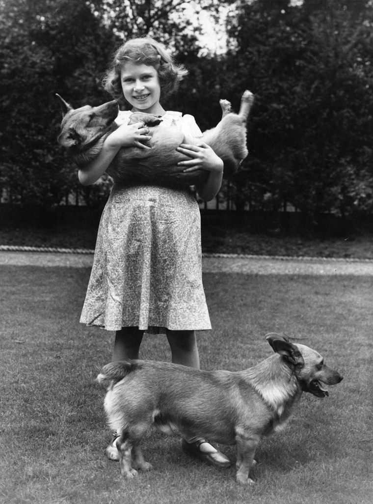 Image: In July 1936, 10-year-old Princess Elizabeth played with two Corgis at her home in London.