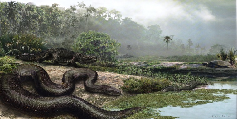 Image: Titanoboa