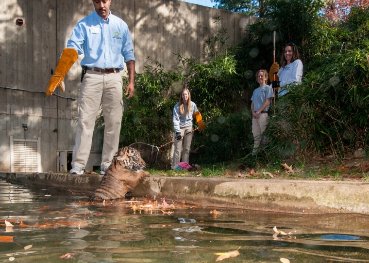 National Zoo