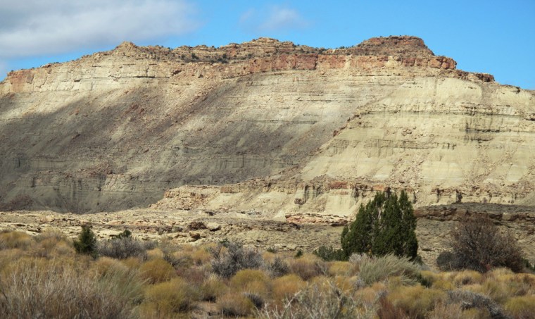 Cliff beneath which fossilized skeleton of newly discovered dinosaur was found