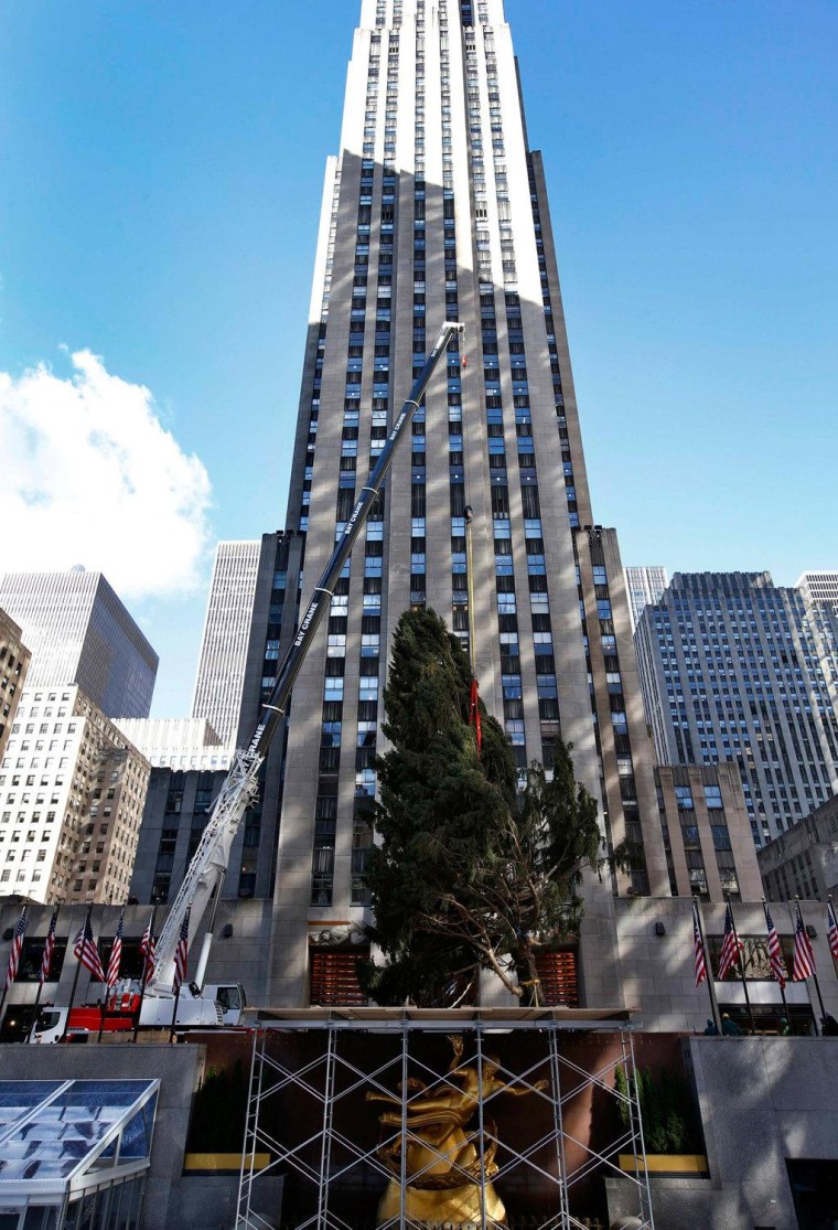 A crane lifts the Rockefeller Center Christmas tree into place in front of 30 Rockefeller Plaza in New York City.