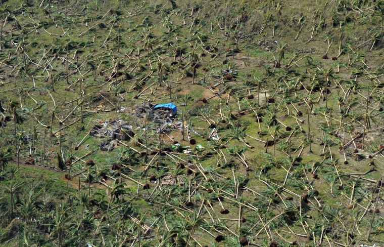 Uprooted coconut trees on a hill near the town of Guiuan in Eastern Samar province in the central Philippines on Nov. 11, 2013, days after Super Typhoon Haiyan devastated the town.