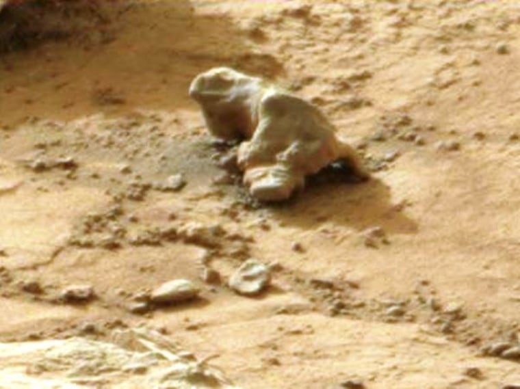 Image: Martian iguana
