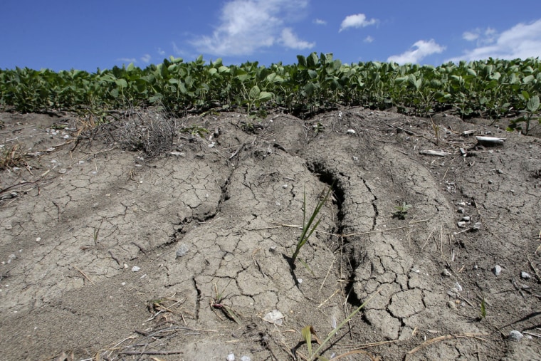 In this July 26, 2013, photo, erosion is seen in field of soybeans that was recently converted to row crops near Corydon, Iowa. Millions of acres of r...