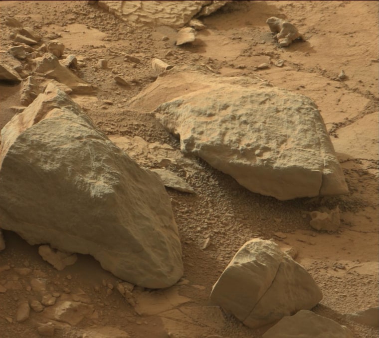 Image: Martian iguana