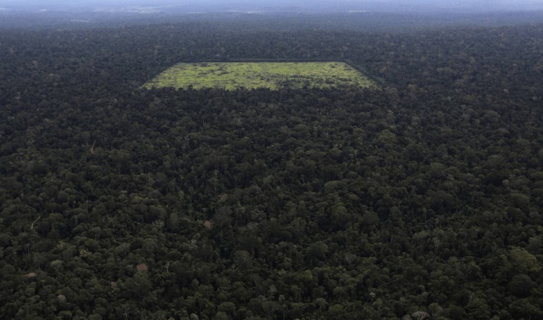 An aerial view shows a tract of the Amazon cleared by loggers and farmers for agriculture, near the city of Santarem, Para State, April 20, 2013.