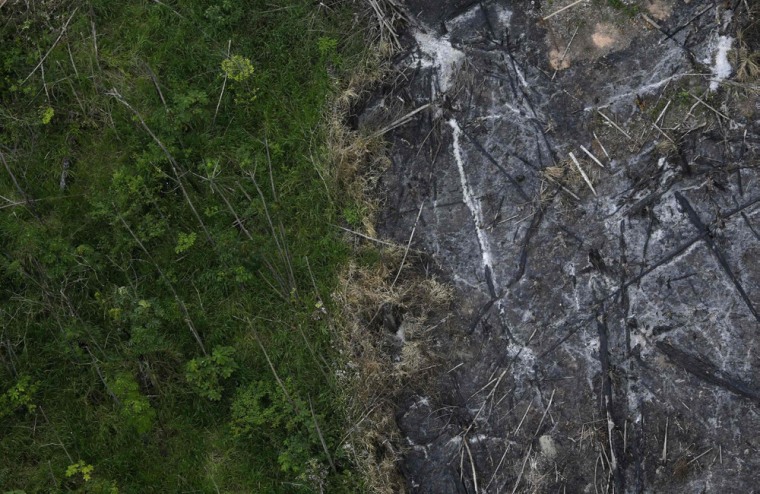 An area of the Amazon rain forest which has been slashed and burned stands next to a section of virgin forest, as seen from a police helicopter during an operation against sawmills and loggers who trade in illegally-extracted wood from the Alto Guama River indigenous reserve in Nova Esperanca do Piria, Para State, September 29, 2013.