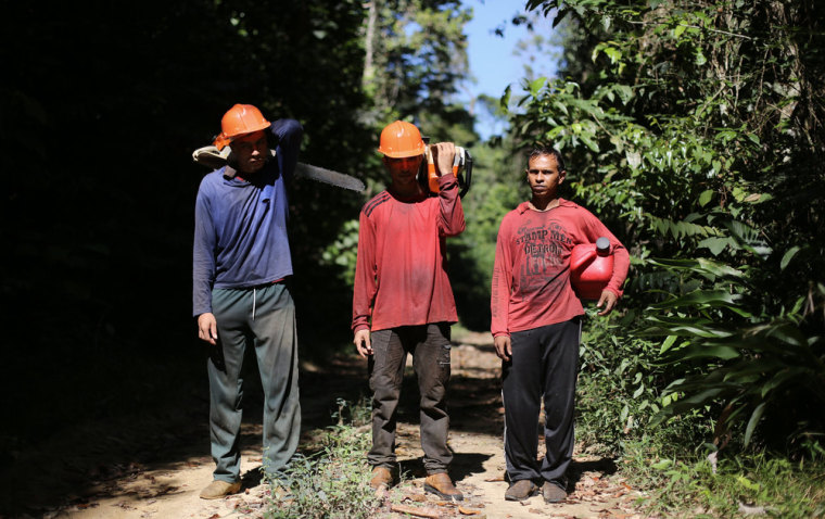 Chainsaw operators (L-R) Andre, Antonio, and Alejandro pose after being arrested for illegally cutting down trees in virgin Amazon rain forest, June 24, 2013.