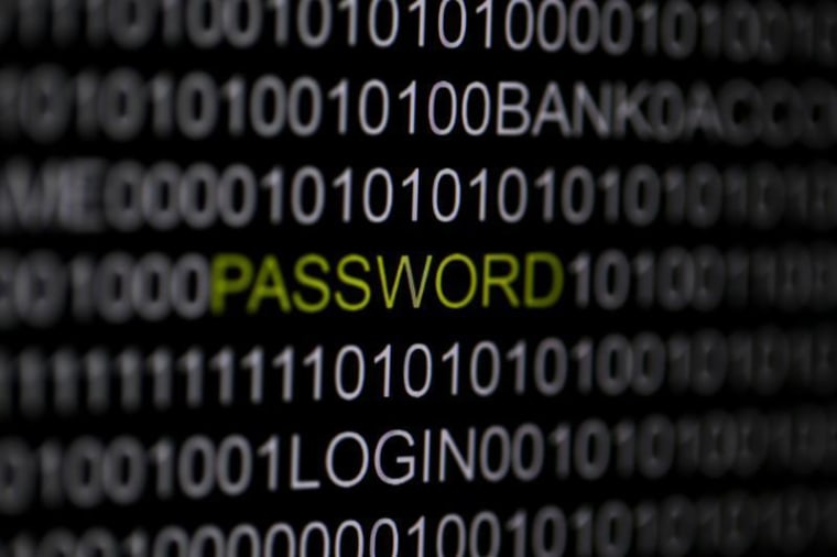 IMAGE: The word 'password' is pictured on a computer screen in this picture illustration taken in Berlin