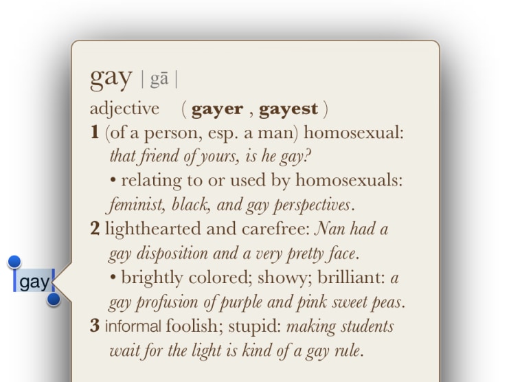 Apple Takes Heat Over Insensitive Dictionary Entry For Gay