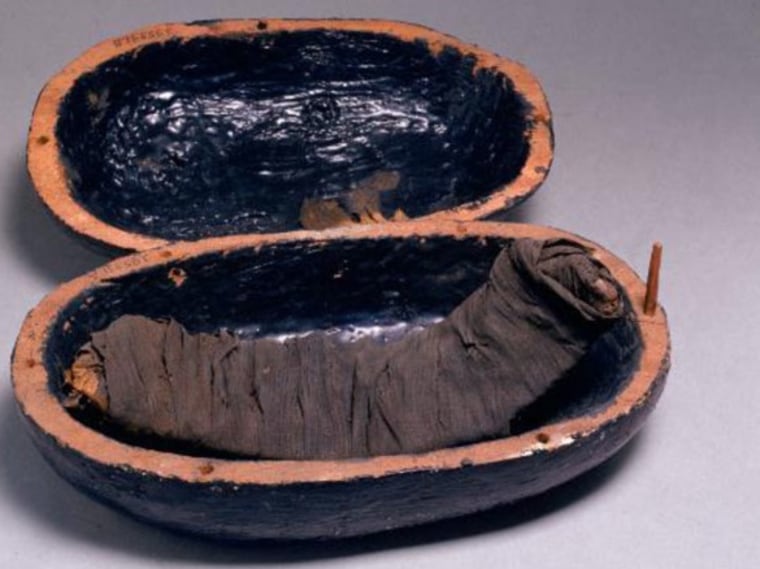Bandaged beef ribs from the tomb of Yuya and Tjuiu, from the 13th century B.C.