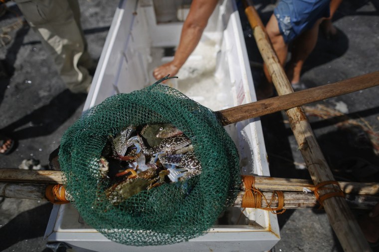 A net containing the day's catch.