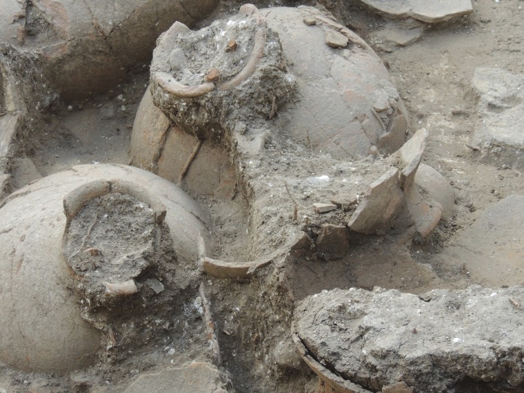 3,700-year-old jars were discovered in an ancient palatial wine cellar unearthed by researchers at Tel Kabri in July 2013. The team worked in da...