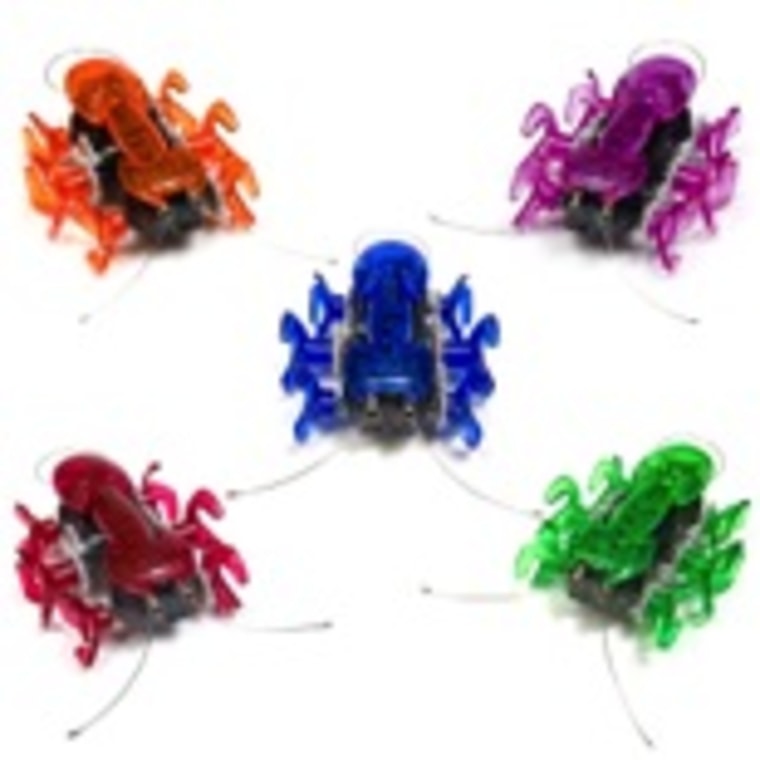 Your kid will love these high-speed micro-robotic creatures.
