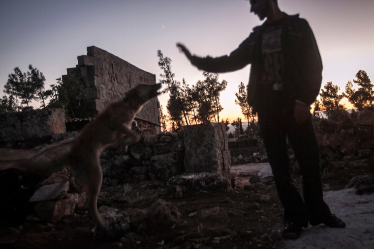 A displaced Syrian youth plays with his pet at sunset near Kafer Rouma on Sep. 26.