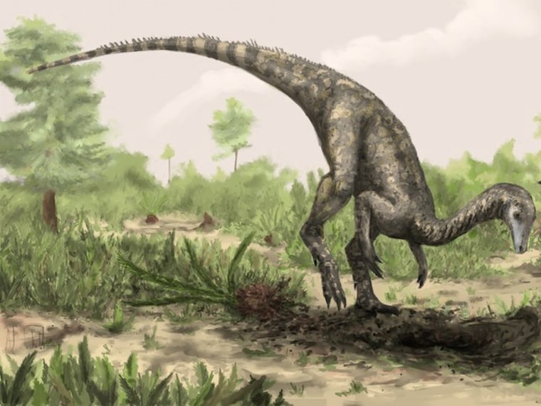 Image: Nyasasaurus
