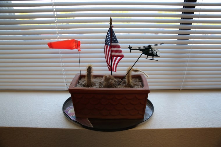A cactus display inside the office of an OAM agent.