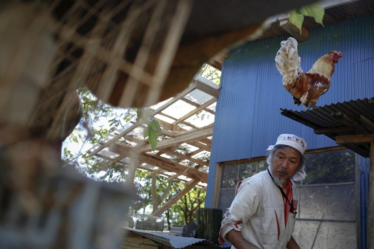 Keigo Sakamoto, 58, feeds his animals.