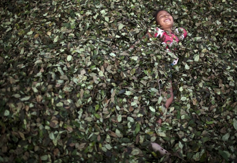 A girl plays in a bed of coca leaves in the village of Trincavini in Peru's Pichari district.