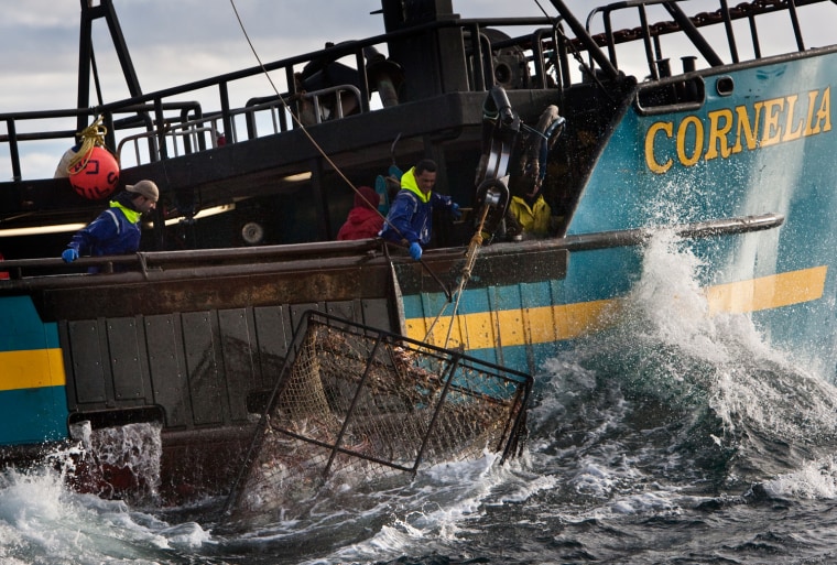 The Cornelia Marie and its crew work to catch King Crab on the Bering Sea during King Crab season on Deadliest Catch season six.