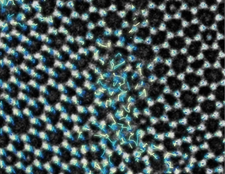 Atoms of glass moving as they are shearing apart. The atoms are in white, while their trajectories are shown with lines.