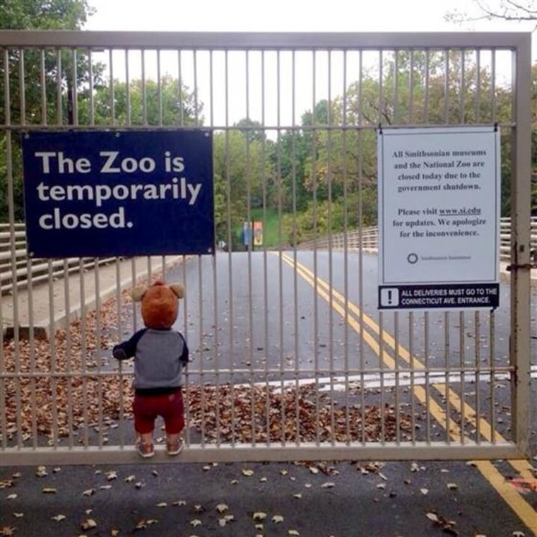 Boy grips gate outside of zoo