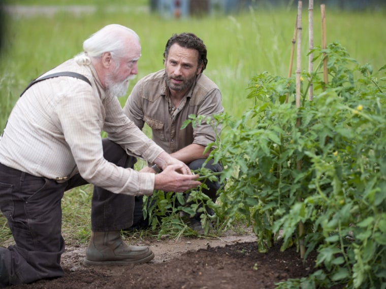 Image: Hershel and Rick on \"The Walking Dead\"