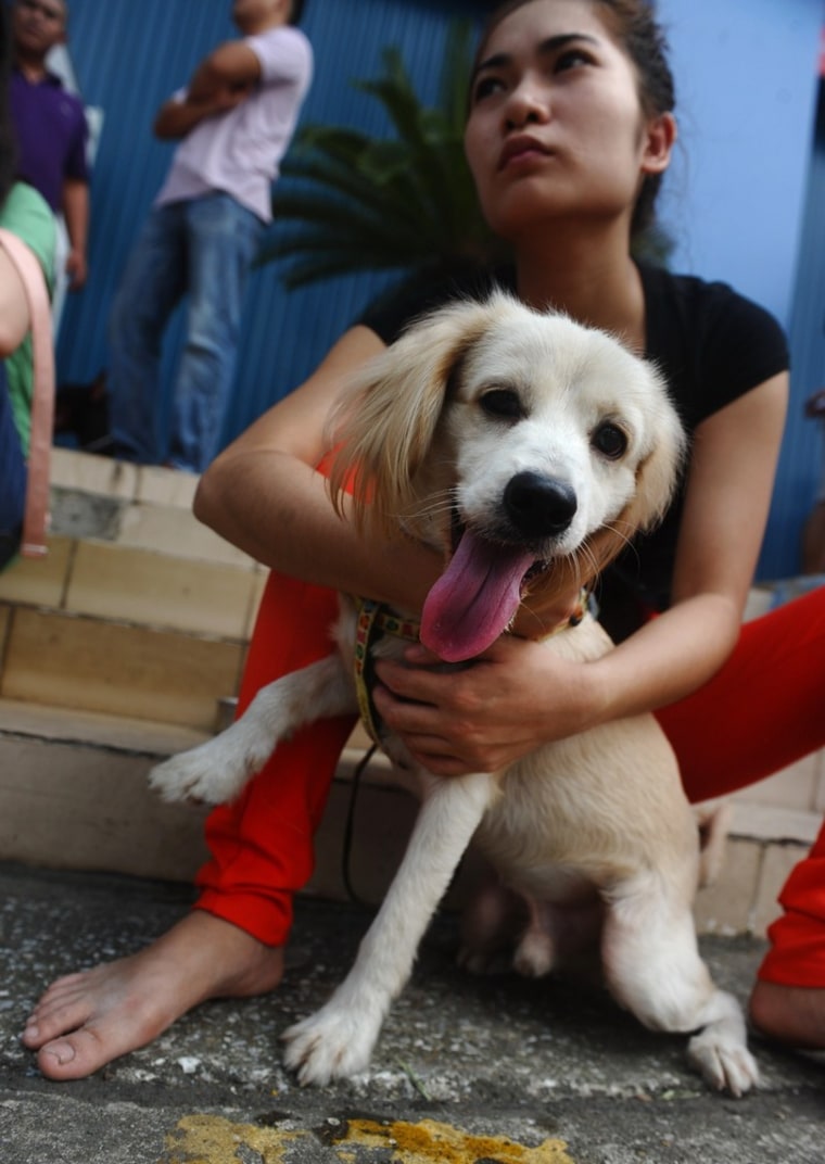This file picture from earlier this month shows a girl holding her dog at a dog show in Hanoi.