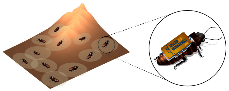 Artist's conceptualization of how a swarm of roaches could help map an area.