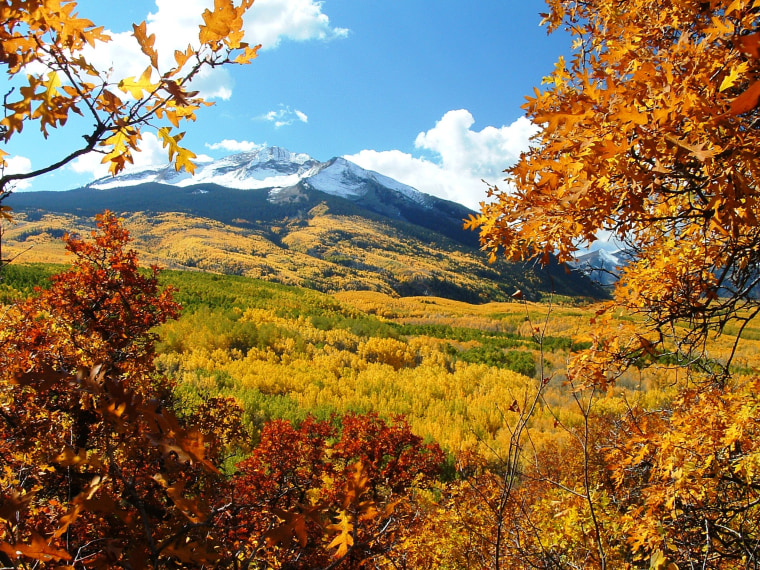 Come see beautiful fall foliage on Kebler Pass near Crested Butte in Colorado.