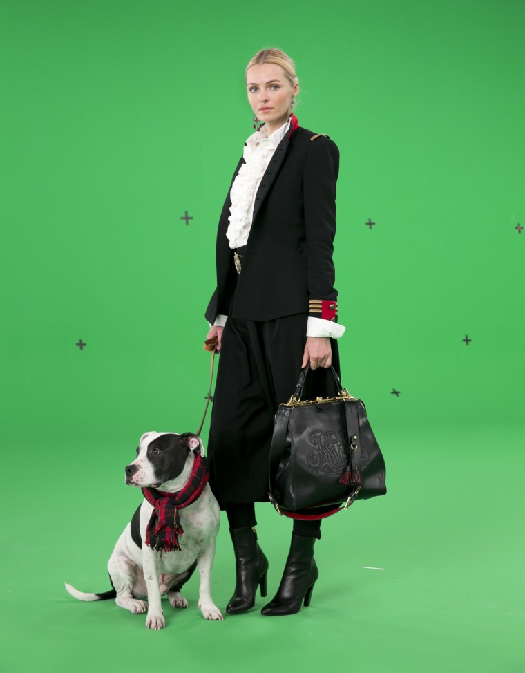 Rescue dogs model Ralph Lauren clothes in new campaign