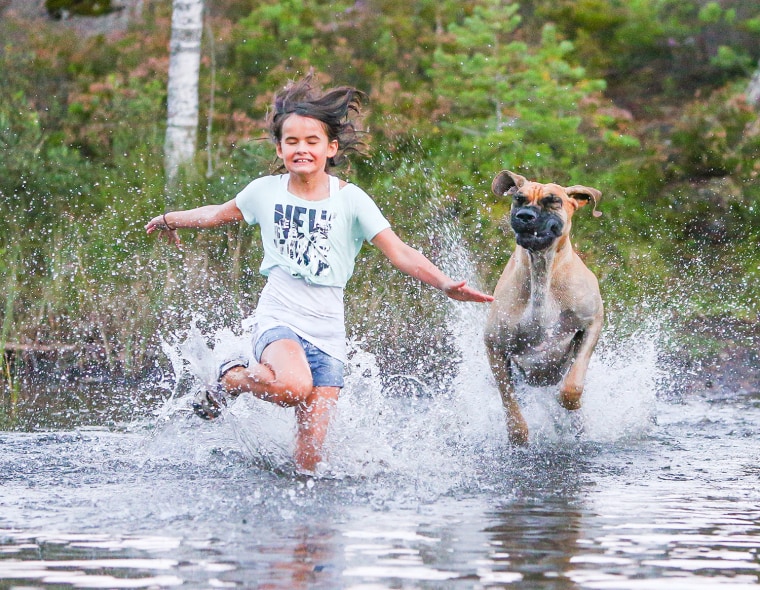 DPOTY 2013 Man's Best Friend Winner: Roger Sjolstad