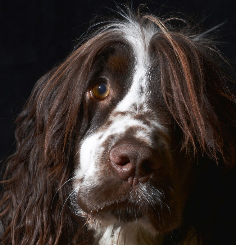 DPOTY 2013 Portrait Winner: Philip Watts