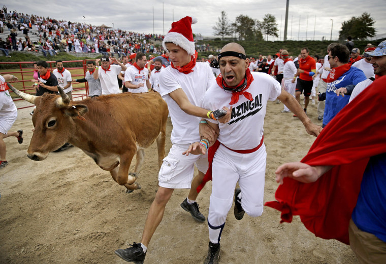 Participants run alongside charging bulls during the Great Bull Run at the Georgia International Horse Park, on Oct. 19, in Conyers, Ga. The event, expected to attract 3,000 runners Saturday, is inspired by the annual running of the bulls in Pamplona, Spain, and has future stops planned in Texas, Florida, California, Illinois and Pennsylvania.