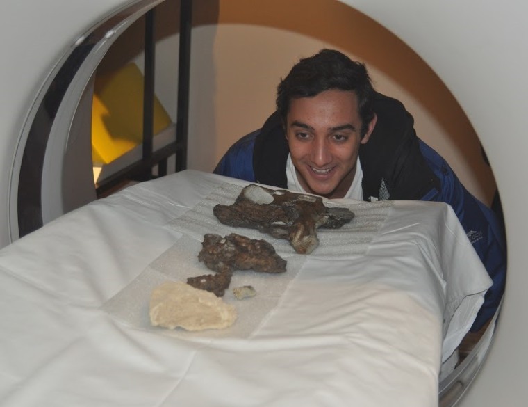 Image: Fossil scanning
