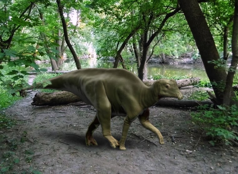 Image: Parasaurolophus
