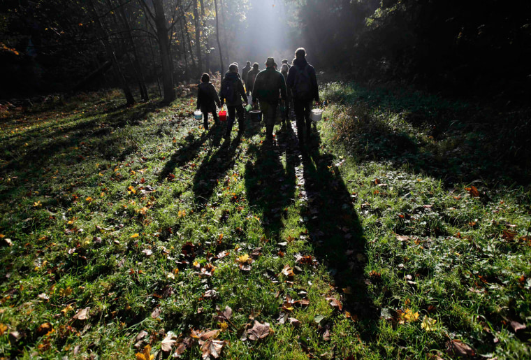 Volunteers carrying buckets containing salmon fry walk towards the Kamenice river near the village of Jetrichovice, Oct. 22,