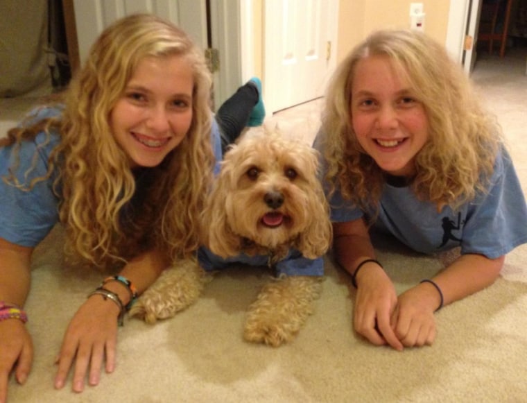 Rachel and Jamie Lipson pose with their pup, Rocky.