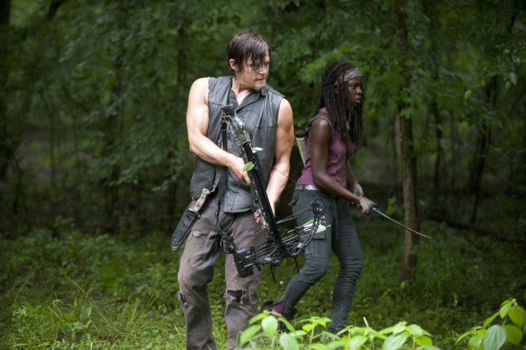 Image: Daryl, Michonne on \"Walking Dead\"