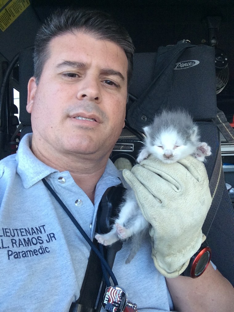 A member of Miami-Dade Fire Rescue with one of the kittens.
