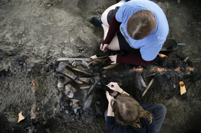Laura Tewksbury, top, and Karrie Howard excavate more than 42,000-year-old bison fossils with dental picks at the La Brea Tar Pits on Wednesday, Oct. ...