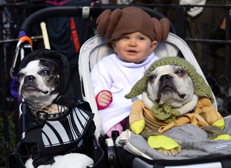 Dogs and baby dressed as characters from \"Star Wars\" attend the 23rd Annual Tompkins Square Halloween Dog Parade on October 26, 2013 in New York City....
