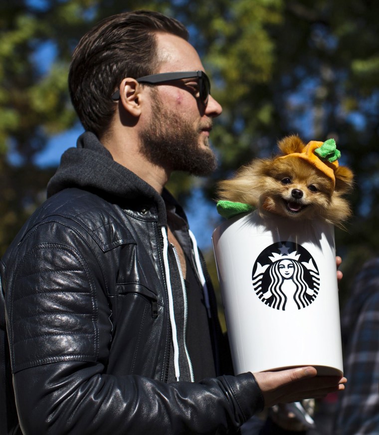 A dog dressed as a Pumpkin Spice Latte takes part in the 23rd annual Tompkins Square Halloween Dog Parade in New York October 26, 2013. REUTERS/Eduard...