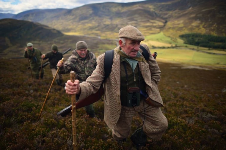 Peter Fraser leads a shooting party Sept. 28, 2012, up to Milstone Cairn in Glen Callater on the Invercauld Estate in Braemar, Scotland.