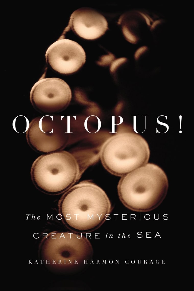 OCTOPUS! plunges deep into the bizarre world of these stunningly smart, solitary deep ocean dwellers.