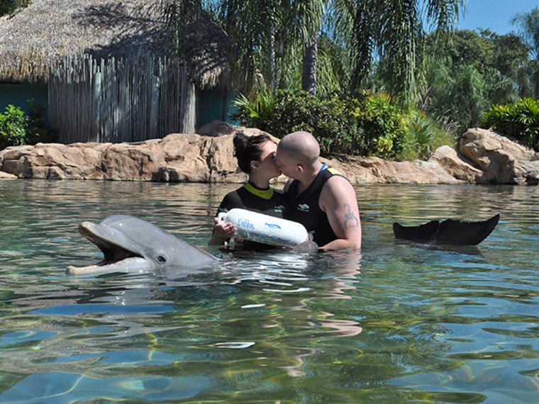 A dolphin delivered the personalized buoy to Preston on Rigby's behalf asking her to marry him.