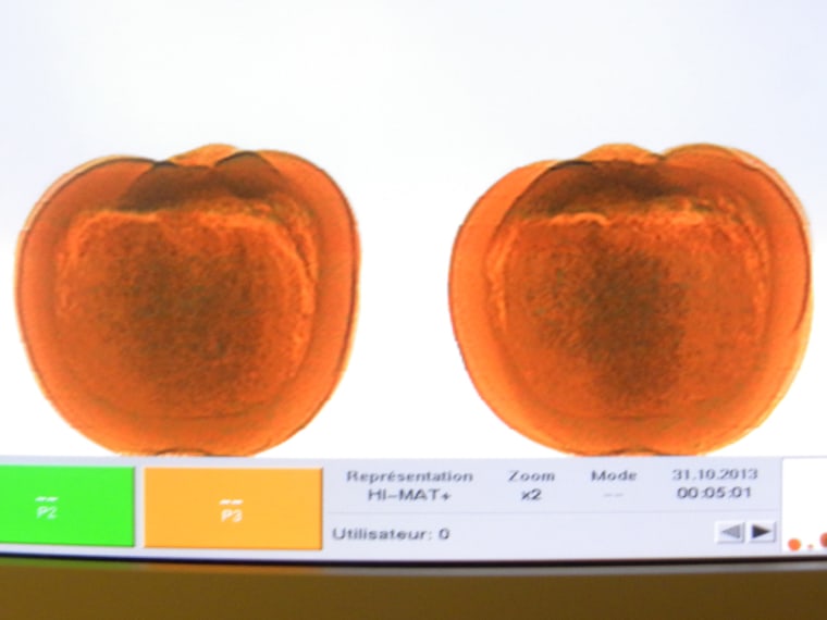 An X-ray scan image of two of the three pumpkins stuffed with suspected cocaine that were seized Thursday at Montreal-Trudeau International Airport.
