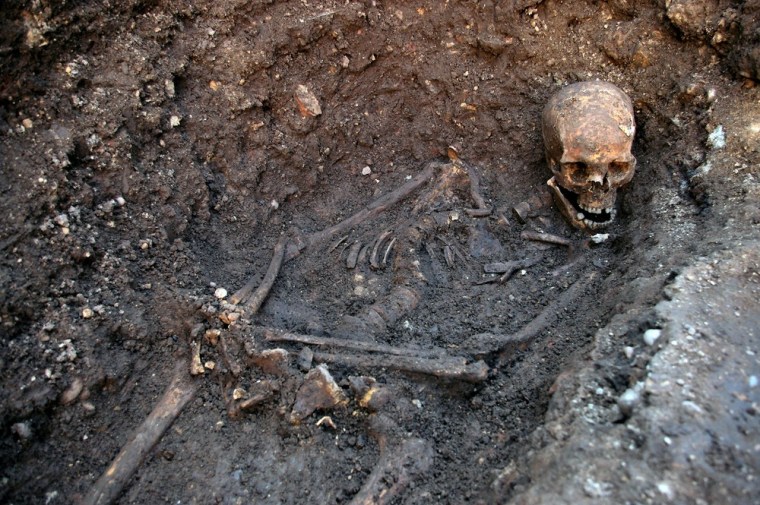 (FILES) An undated handout picture released on February 4, 2013 from the University of Leicester shows the skeleton of king Richard III found at the G...
