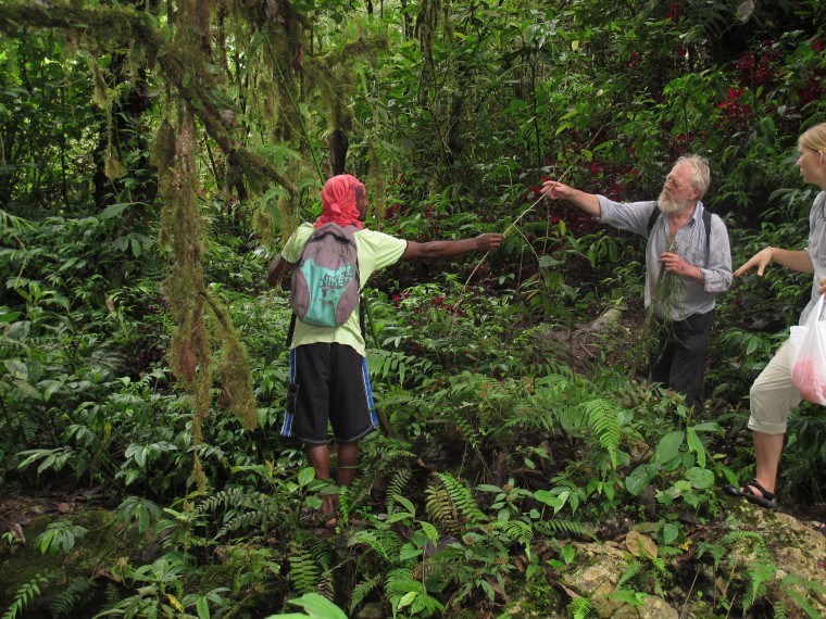Researchers collect botanicals in Papua New Guinea